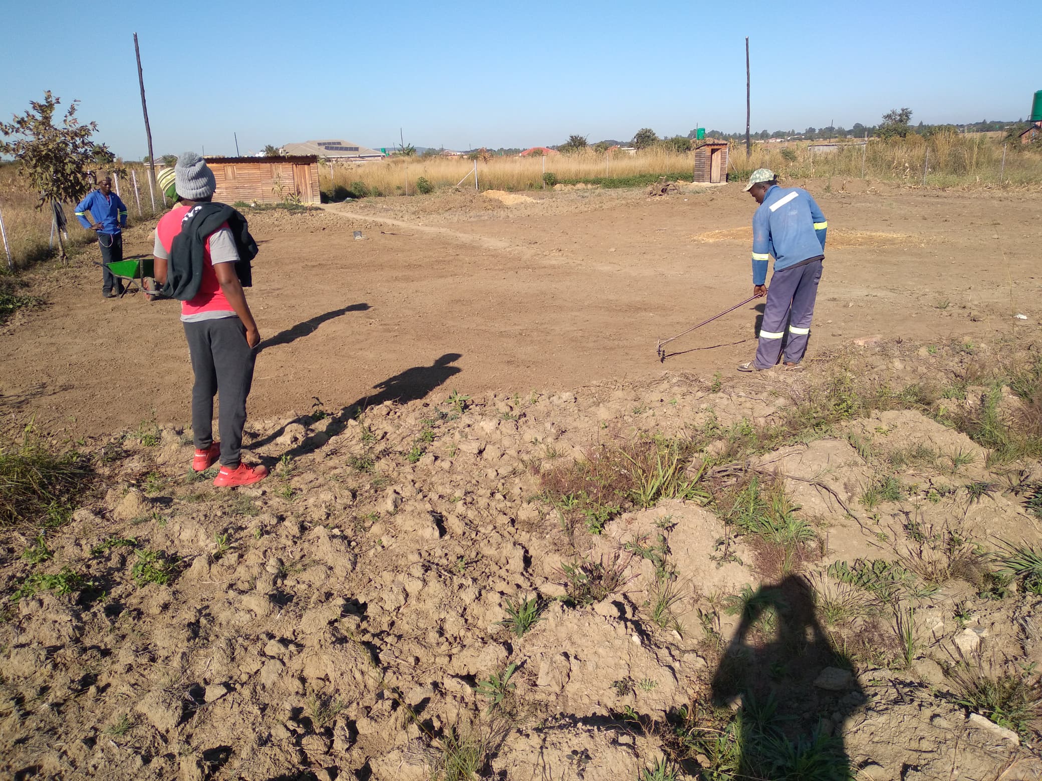 IMG-20250603-WA0024(1)
